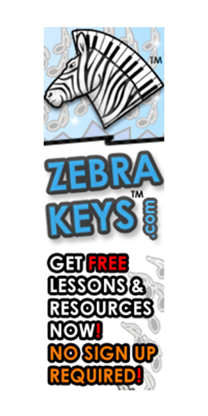 zebrakeys-himgad-2-300-600-1