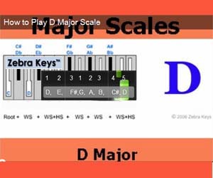 major-scales-d-zebrakeys300x250_logo