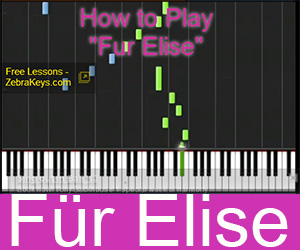 fur-elise-zebrakeys-6