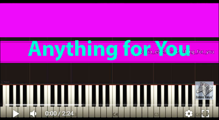 Anything_for_you_Glloria_Estefan_zebrakeys_3_2