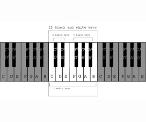 piano-layout-zebrakeys